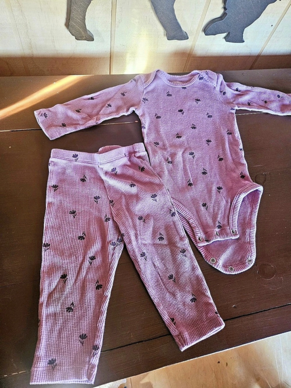 Carter's Baby Floral Bodysuit & Pants Size 12M